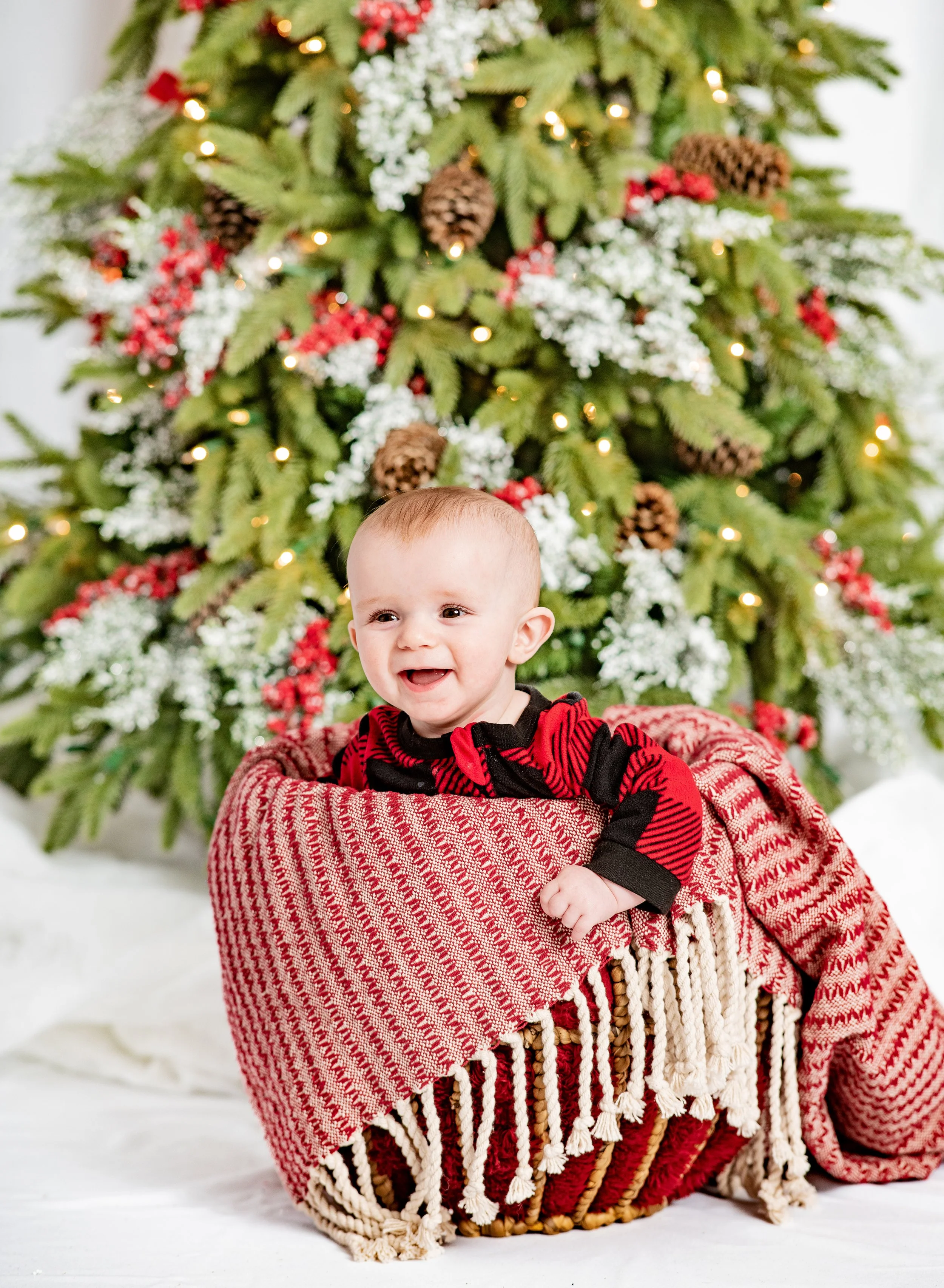  #christmasphotoshoot #christmasphotosession #christmas session #pattysimaging #pattylovins #lancasterkyphotographer #centralkyphotography #babyfirstchristmas #newbornchristmas #newbornchristmasphotoshoot #waitingforsanta #cookiesforsanta 
