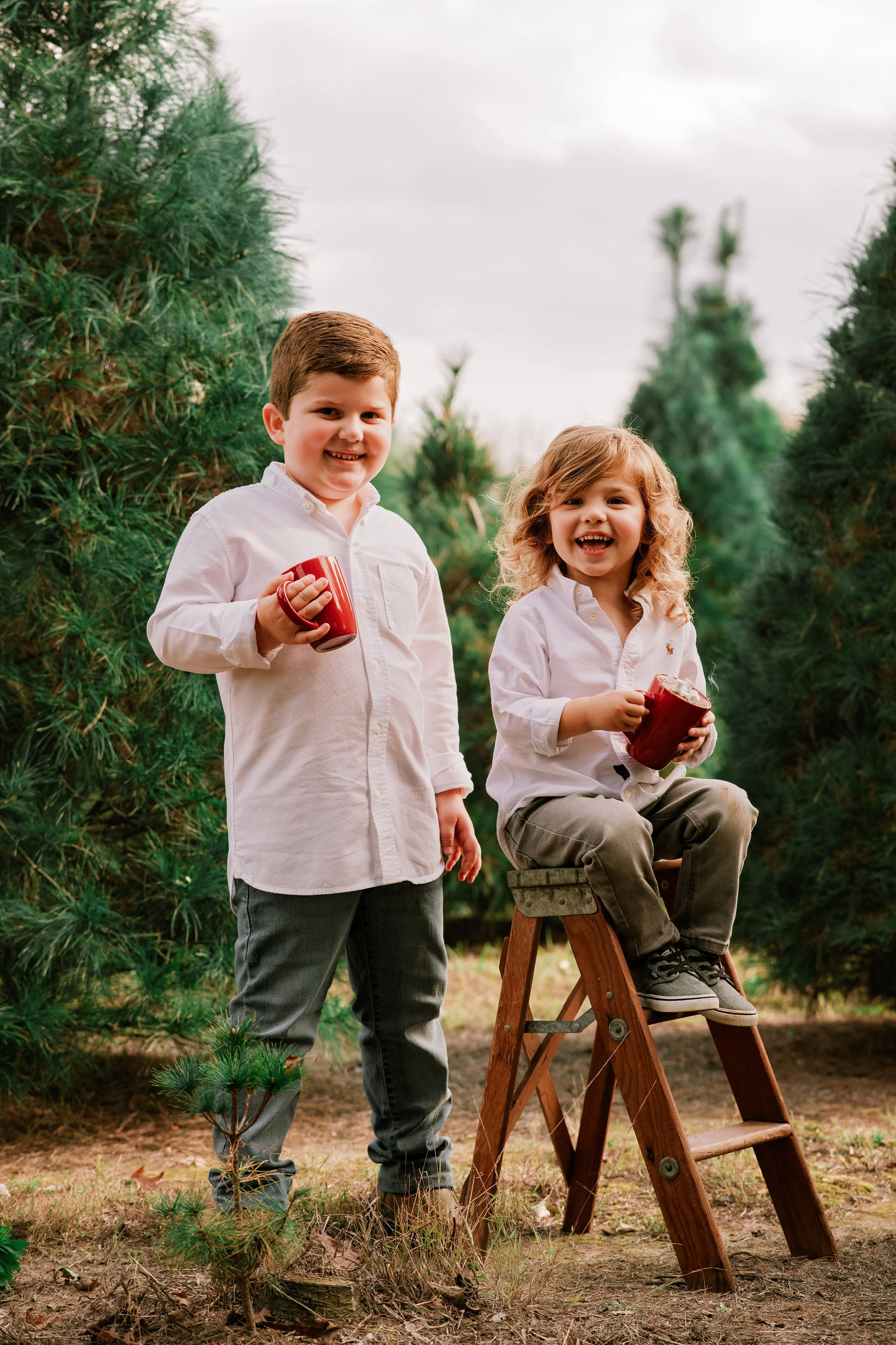  #christmasphotoshoot #christmasphotosession #christmas session #pattysimaging #pattylovins #lancasterkyphotographer #centralkyphotography #christmasmini #christmasminiphotoshoot #christmasminisession #christmastreefarm #christmastreefarmmini #christ