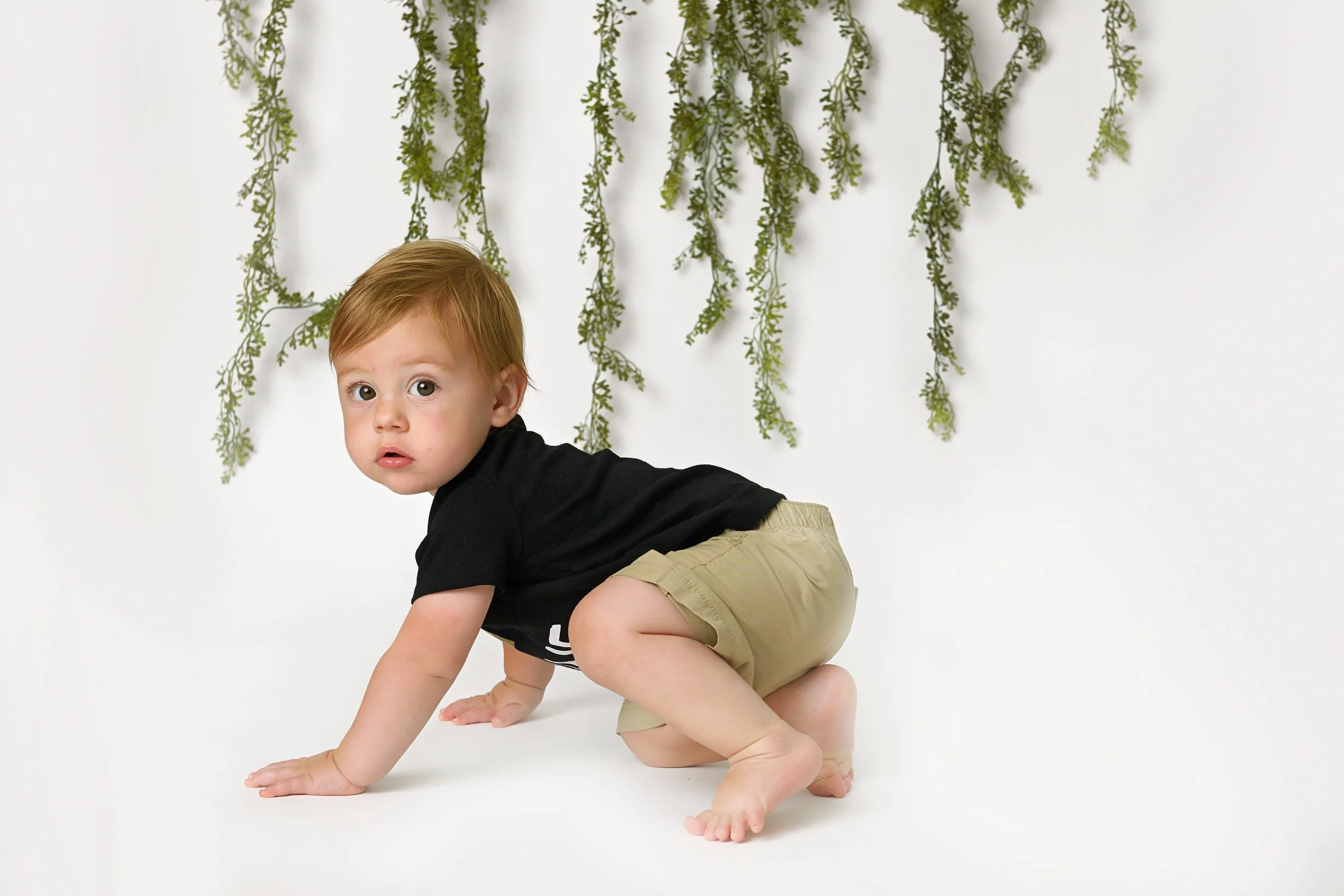  #babysfirstyear #babymilestones #oneyr #babyphoto #babyphotoshoot #pattysimaging #pattylovins #lancasterkyphotographer #centralkyphotography 