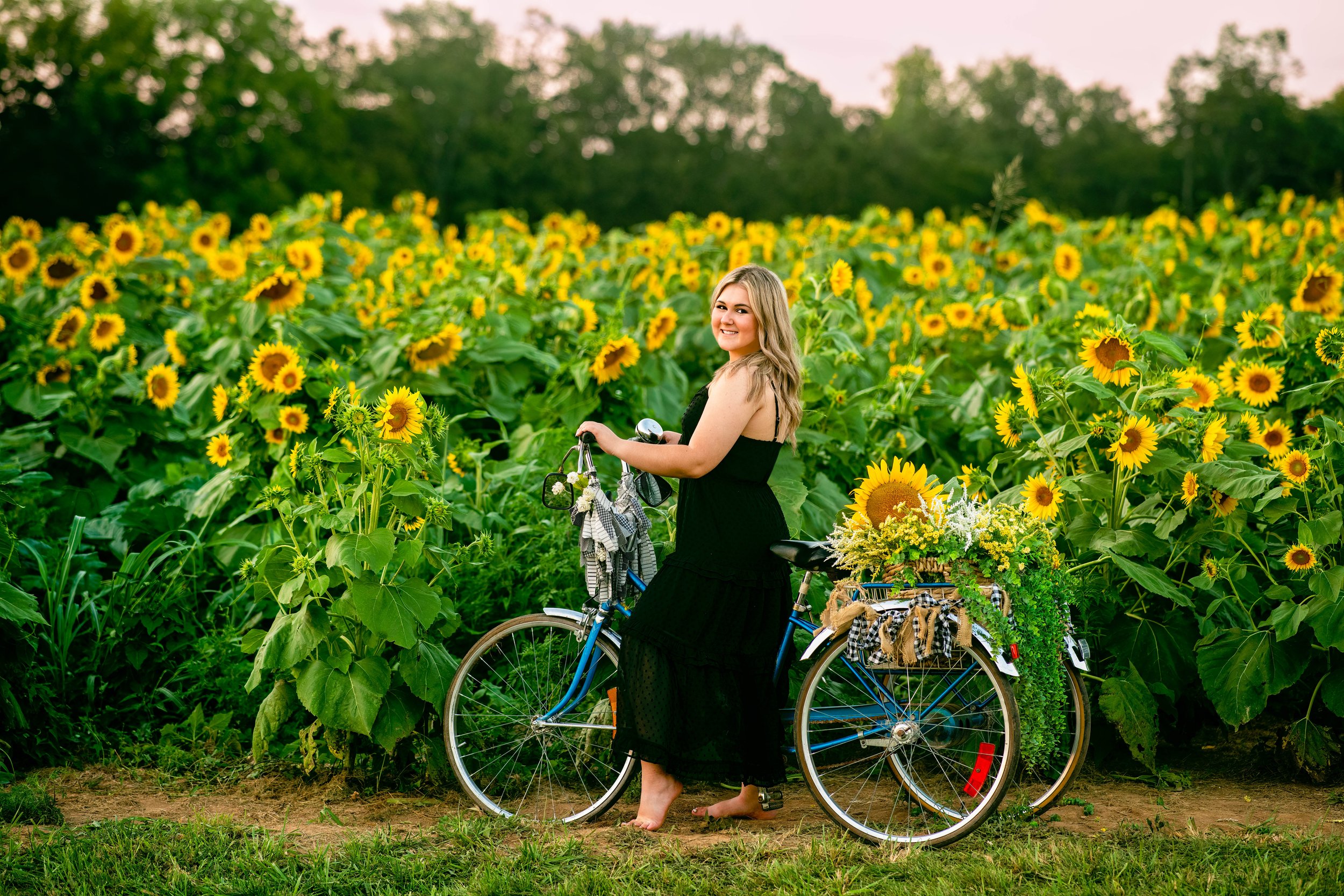 Bicycle In Sunflower Field at Sunset | Lexington Kentucky