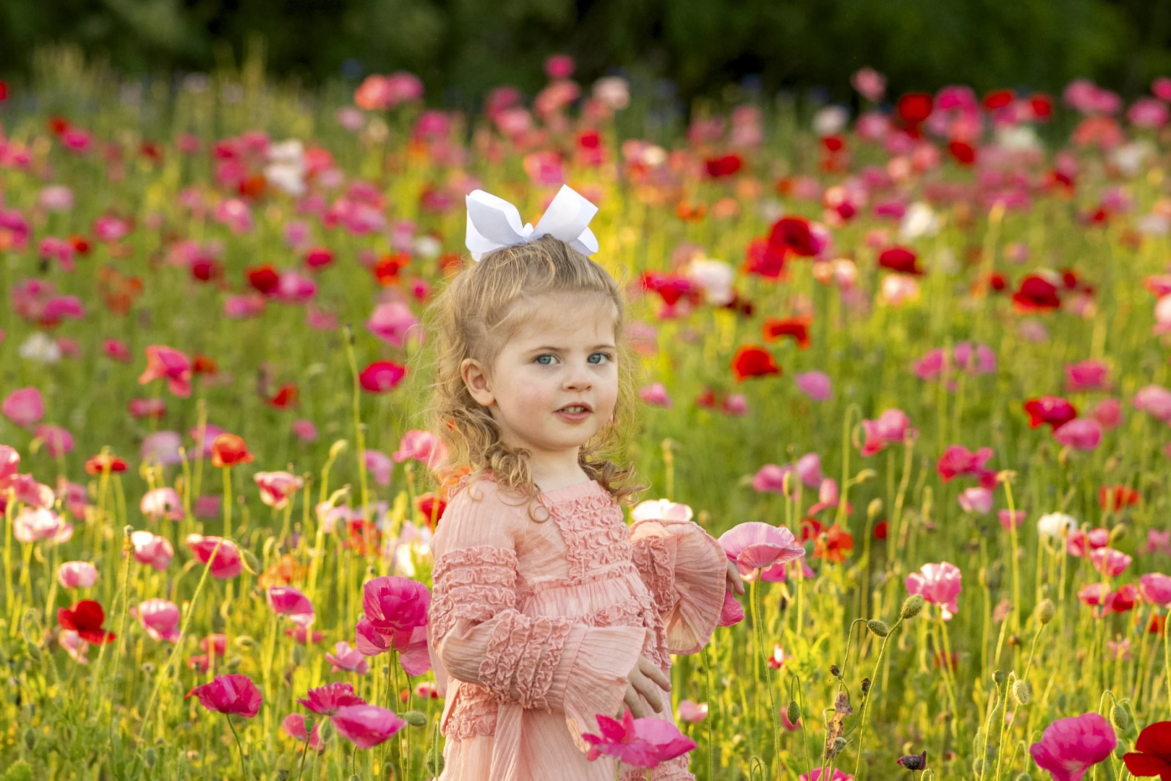DSC_3293-Edit.jpg