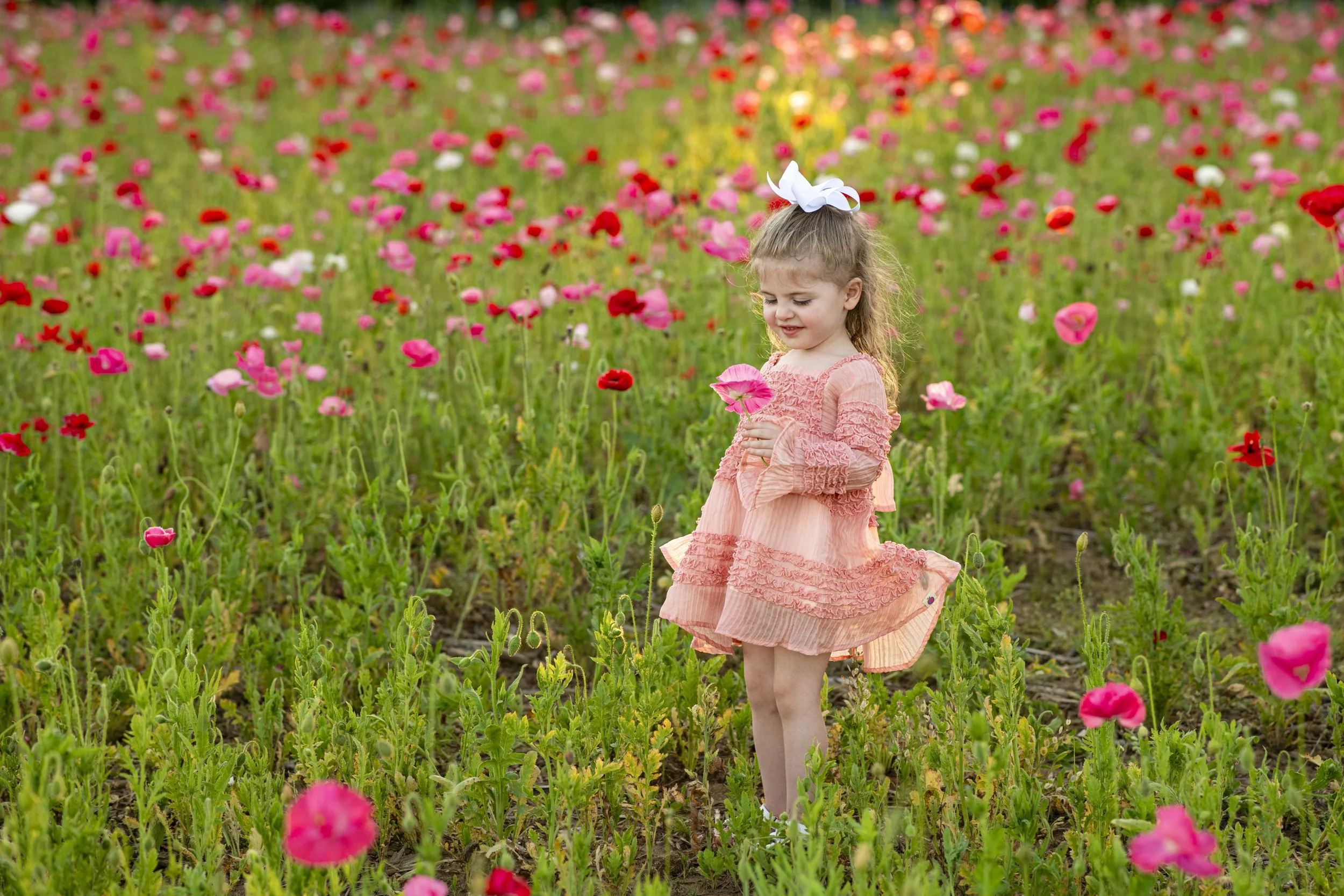 DSC_3186-Edit.jpg