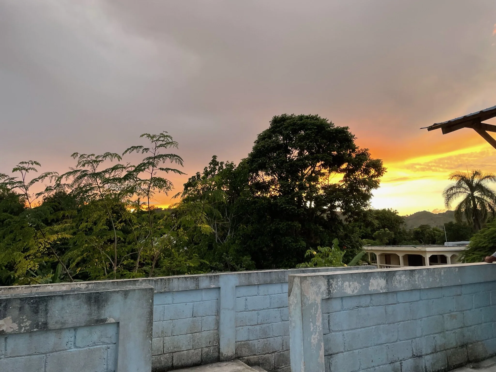 6F98C1D6-18A4-4286-BA09-CF96BCAEEE38.JPG