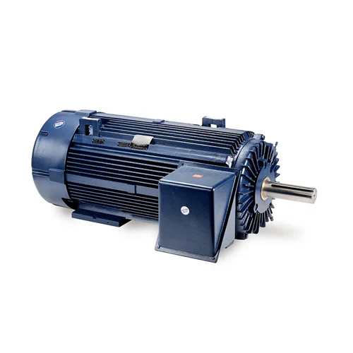 Medium-Voltage-MOtor-Blue-Chip.jpg