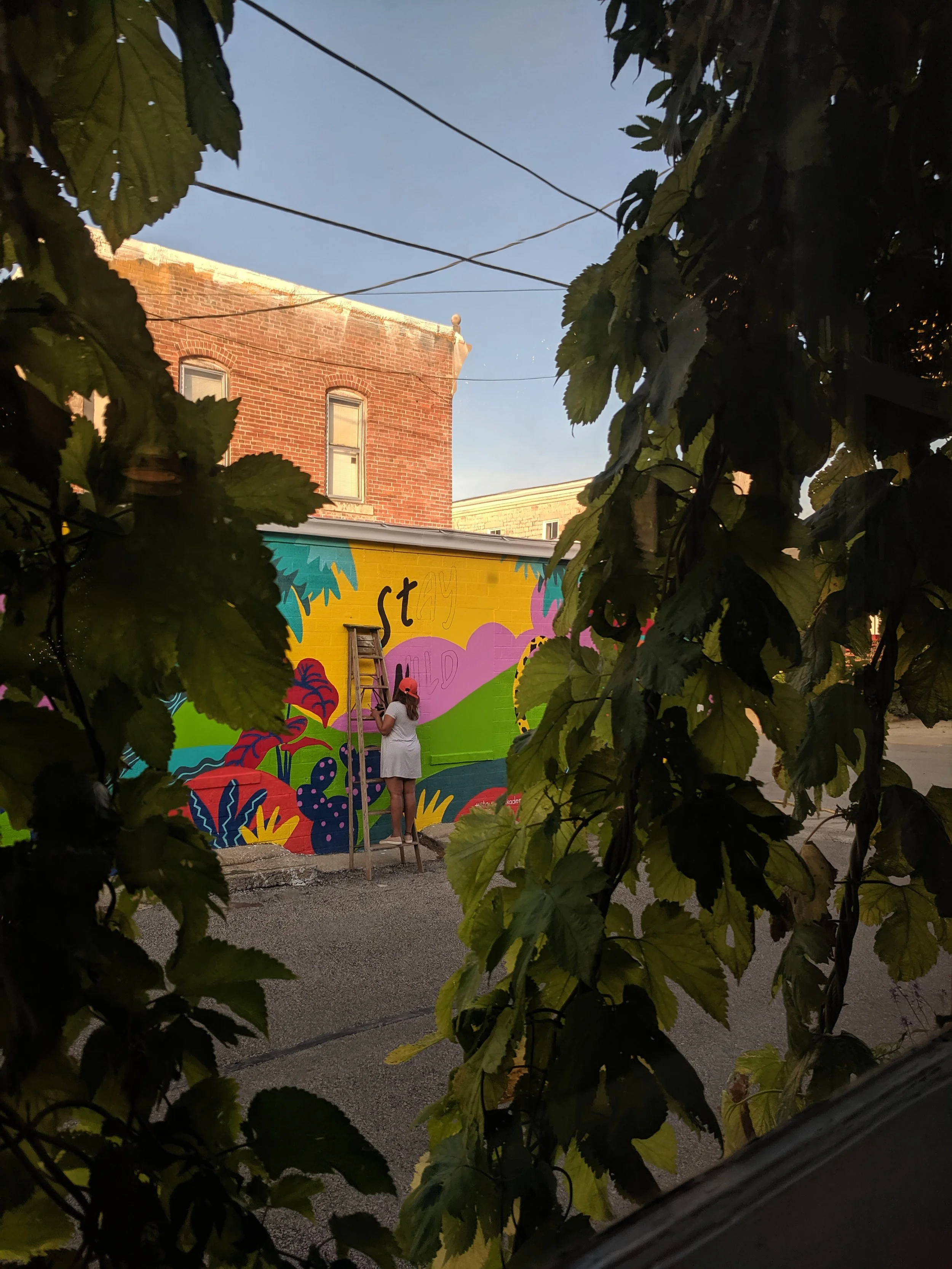 IMG_20190809_191029.jpg