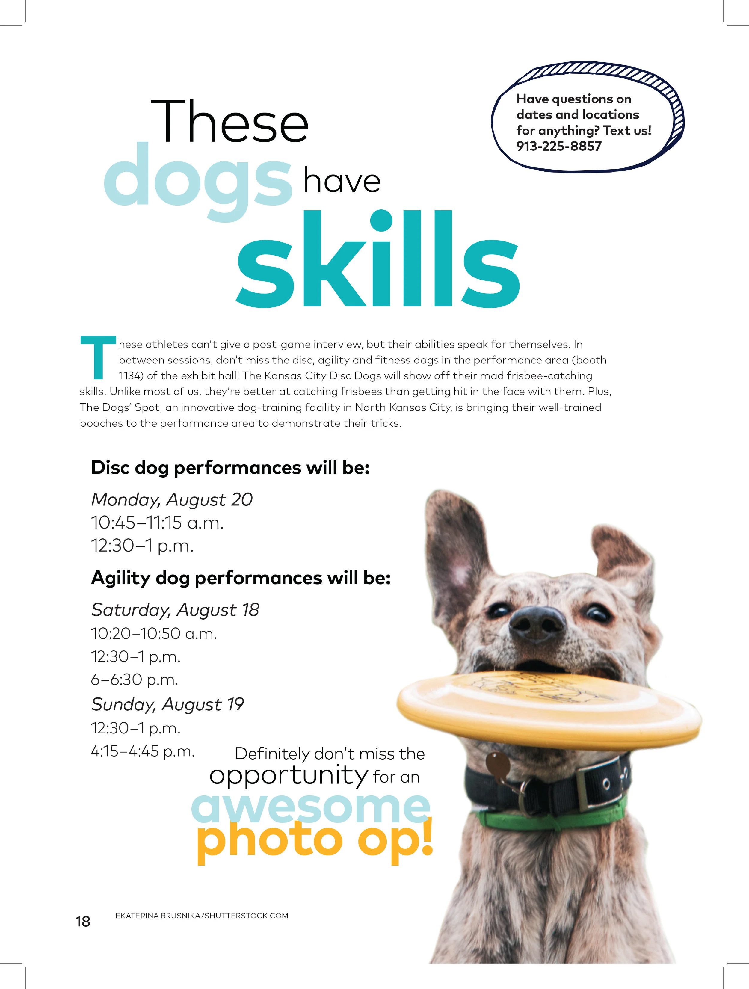 Disc-Dogs.jpg