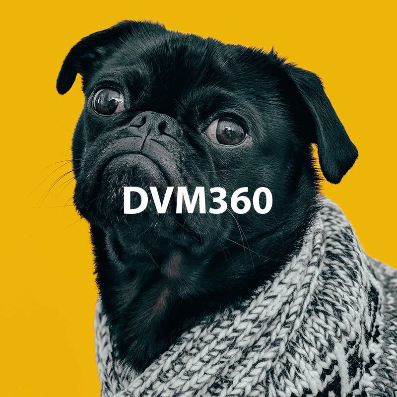 DVM360.jpg
