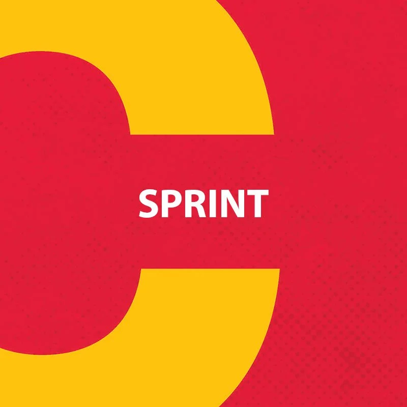 SPRINT.jpg