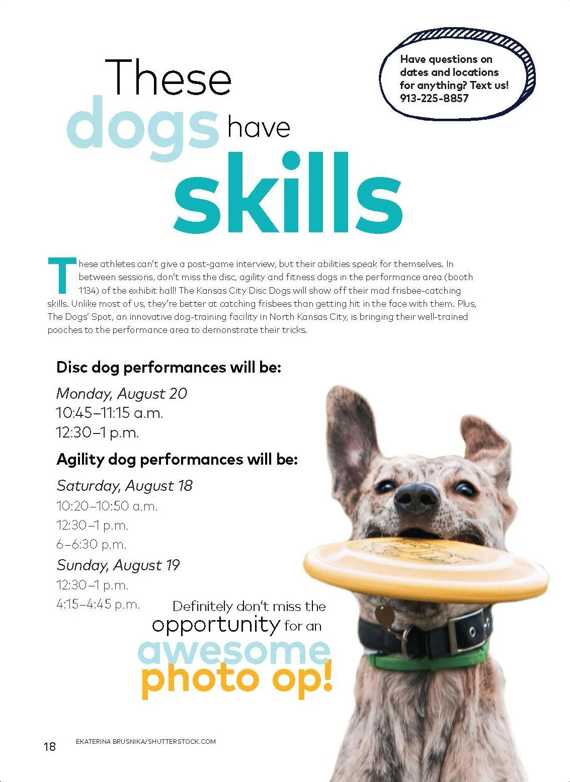 Disc-Dogs.jpg