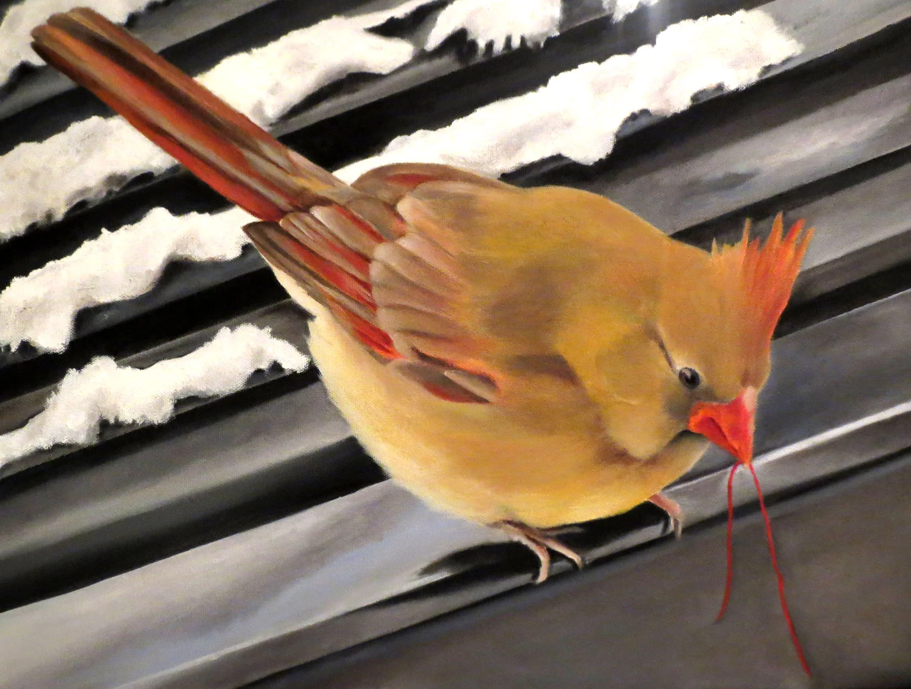Mrs. Cardinal - Sold