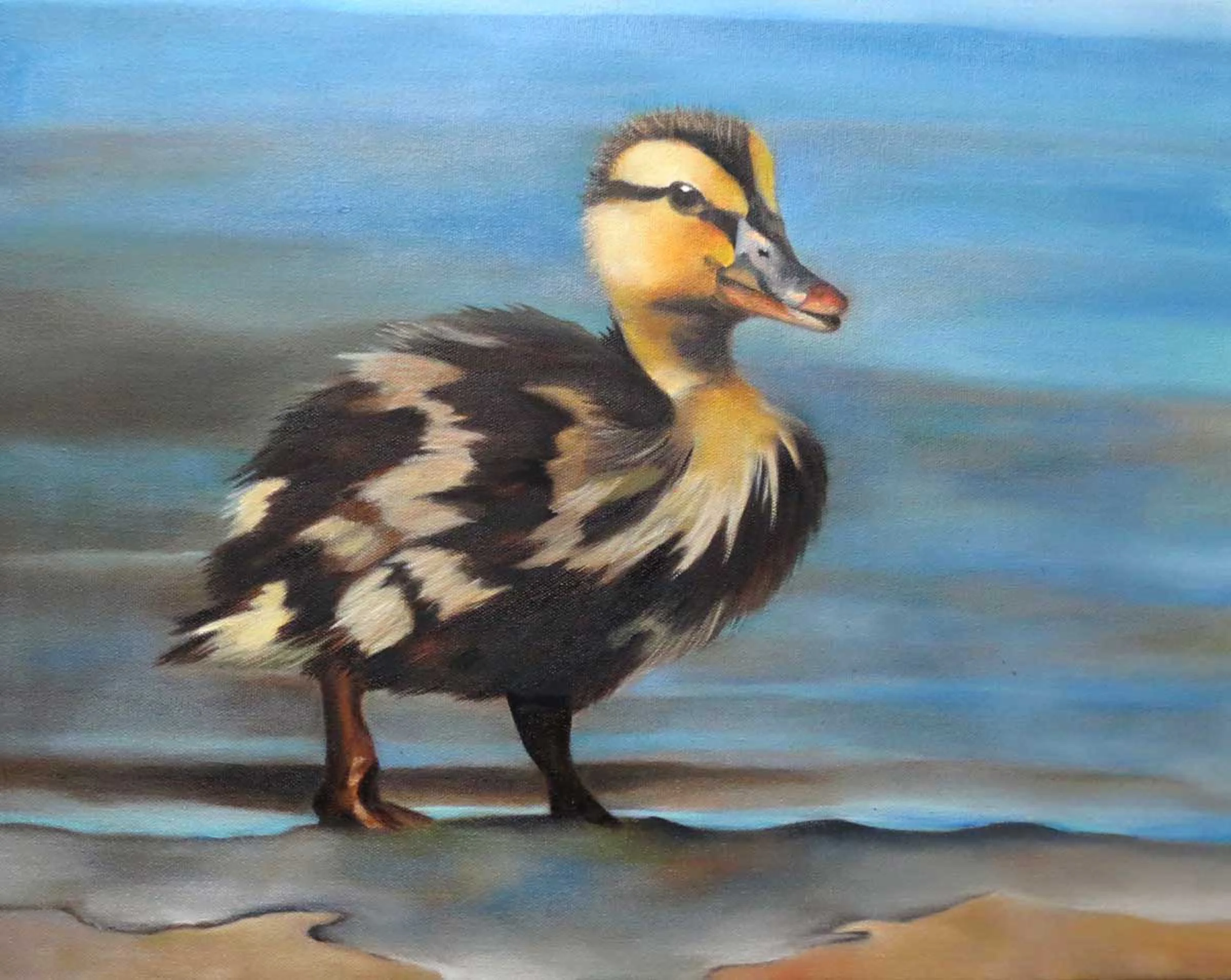 Baby Thunderduck - Sold