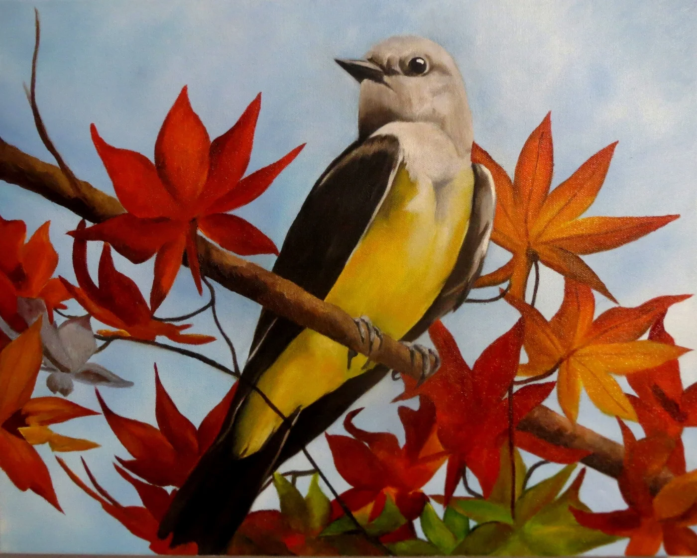 Yellow Breasted