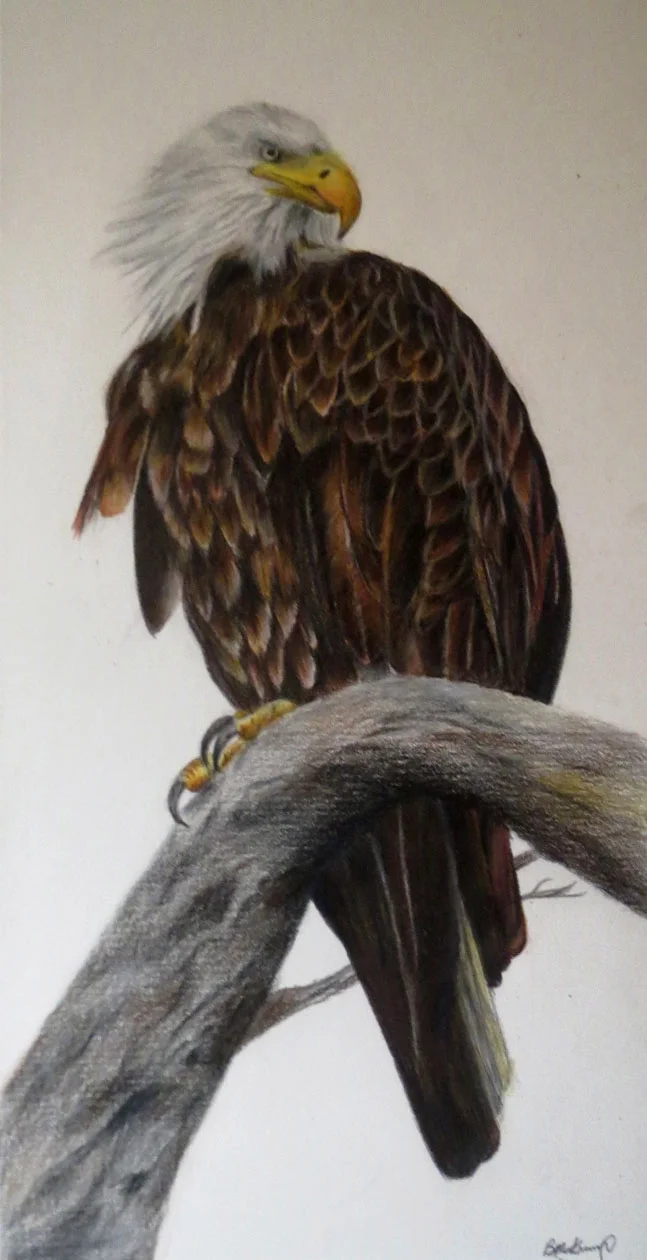 Eagle on High