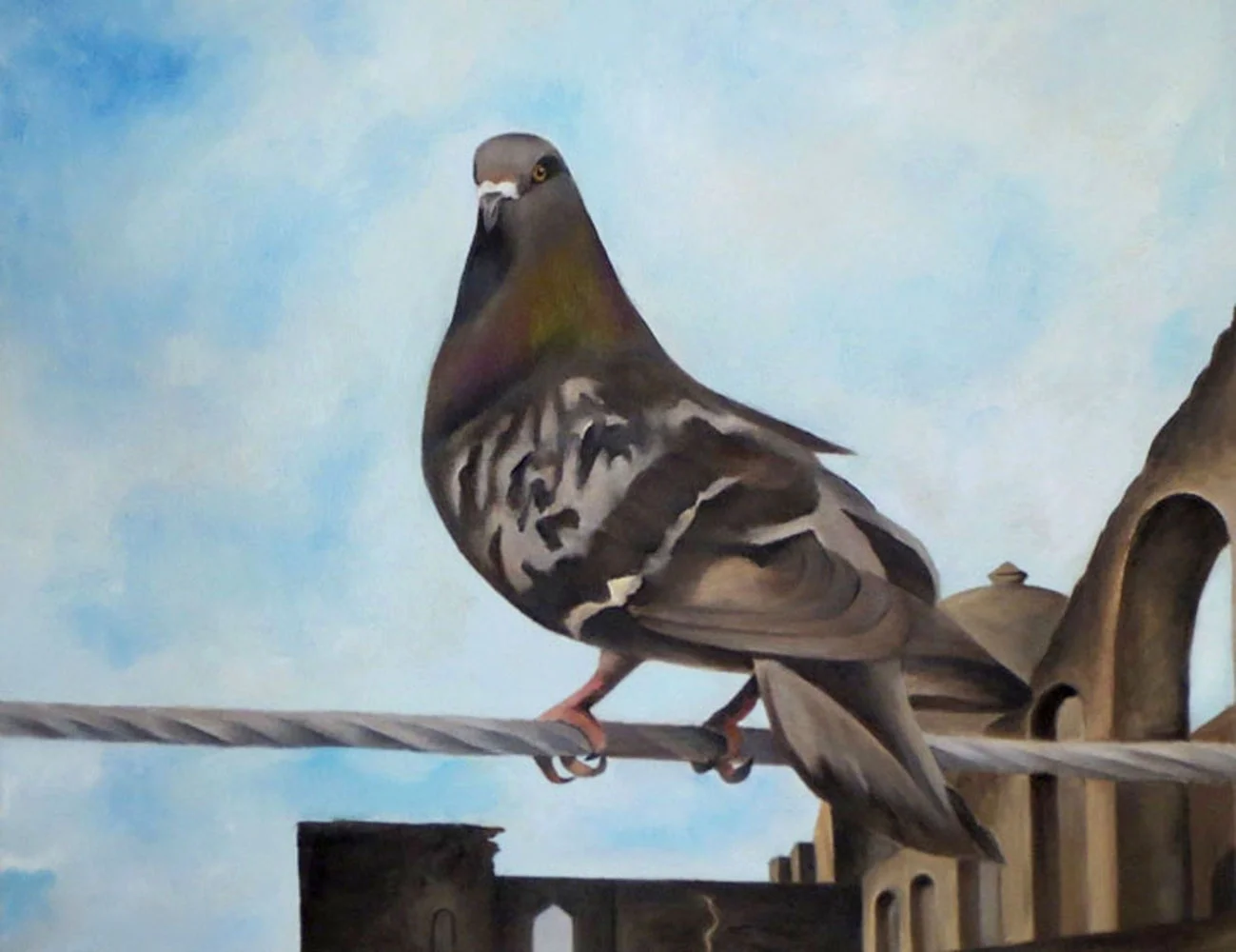 Higher Order Pigeon