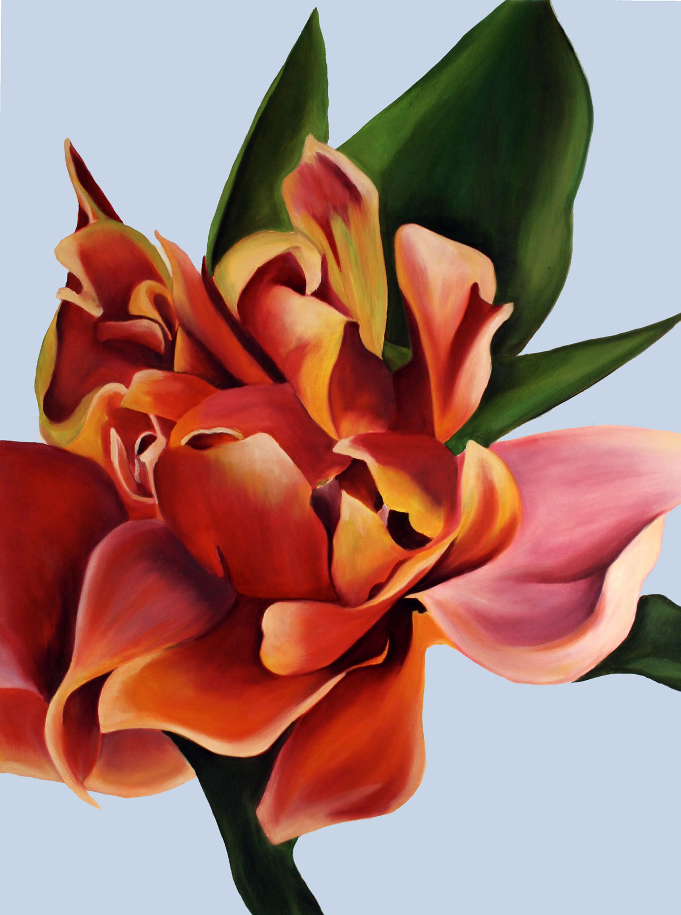 Tulip 