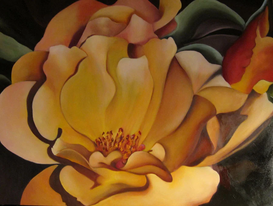 Lynn's Rose 