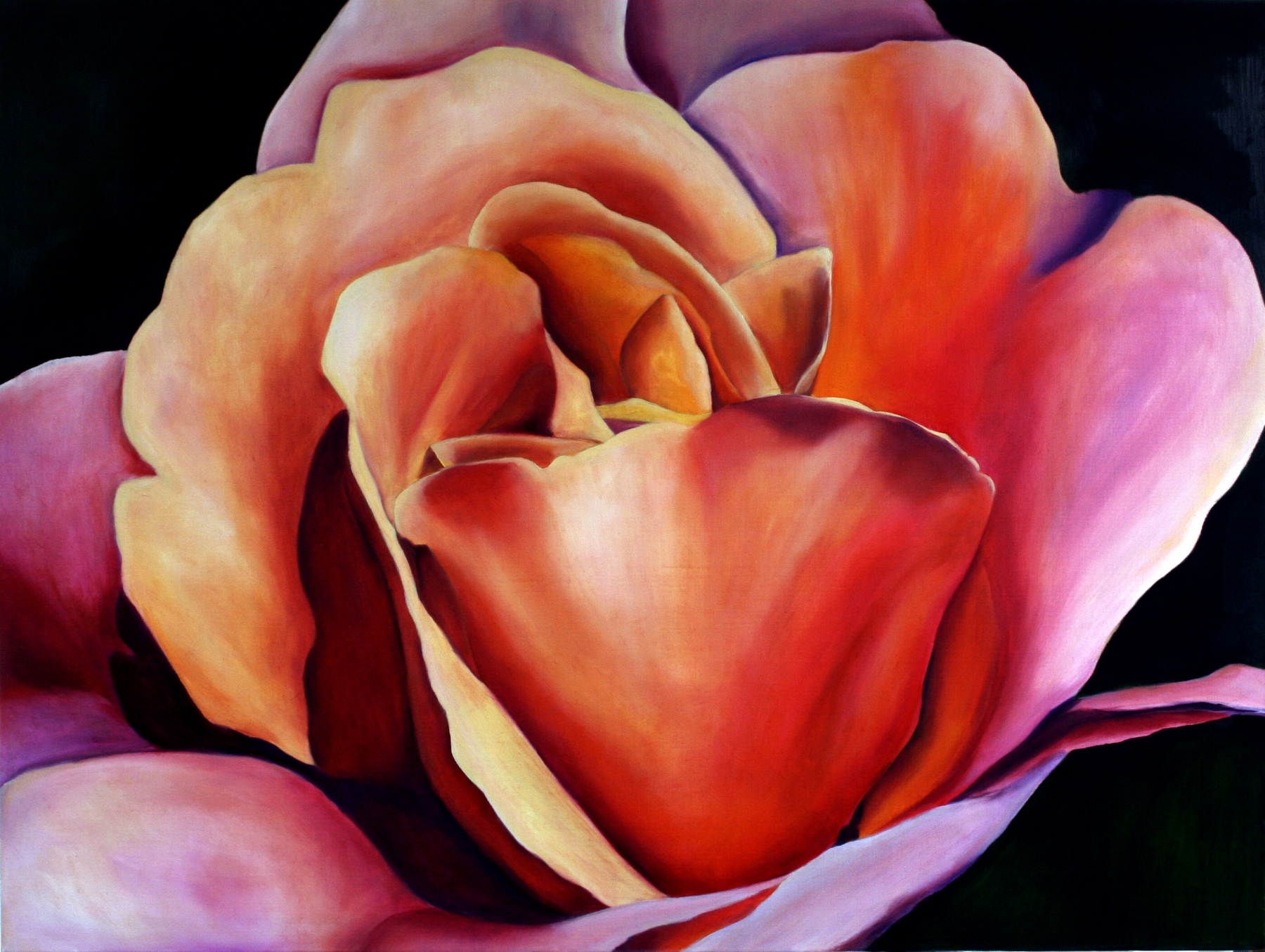 Peace Rose
