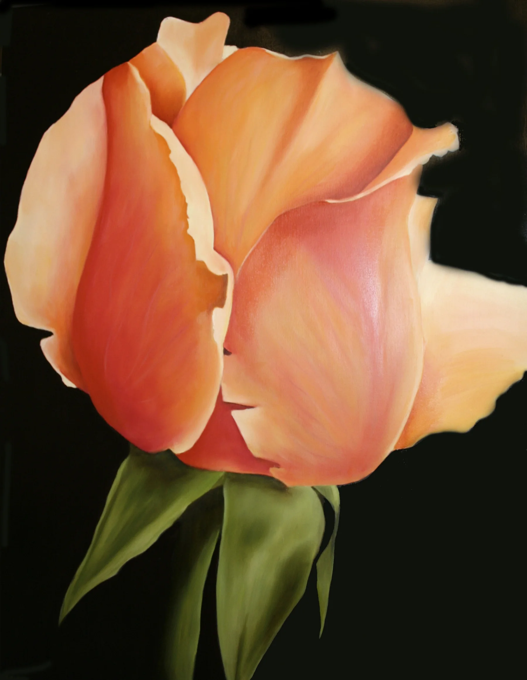 Peach Rose