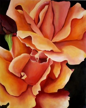 Tequilla Rose 