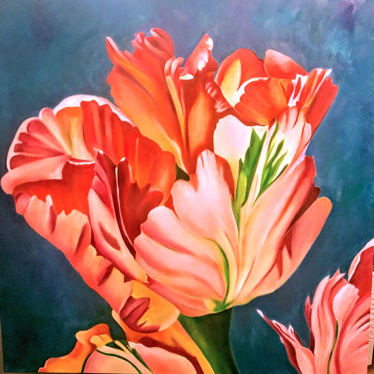 Tulip
