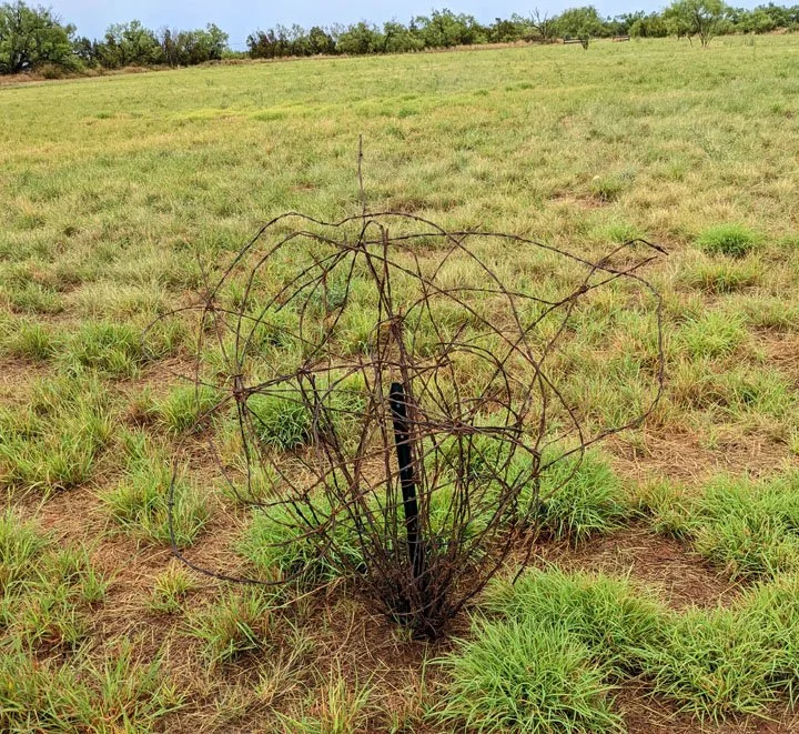  Texas Tumbleweed