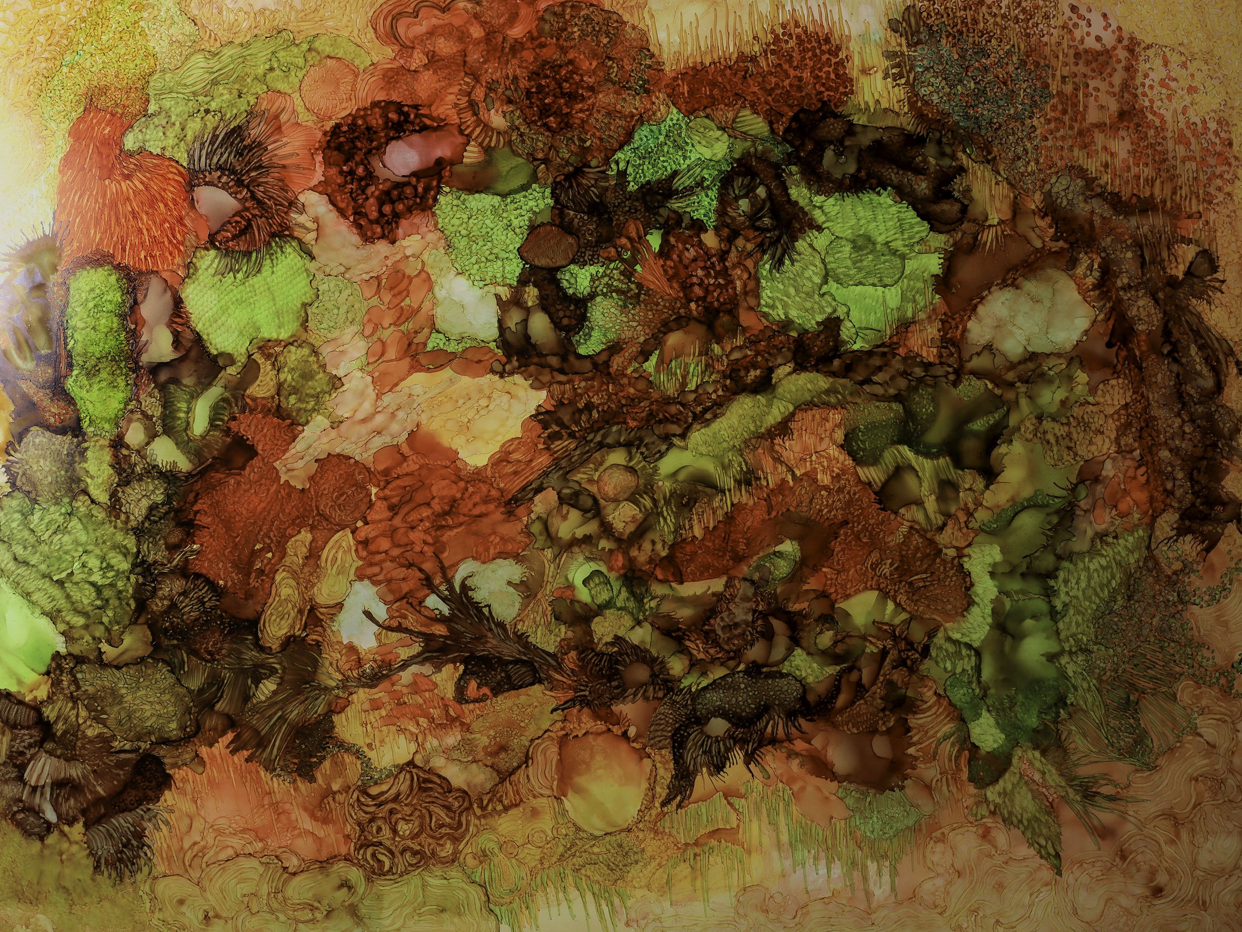 Hidden on the Forest Floor