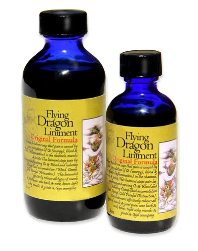 flying Dragon Duo copy.jpeg