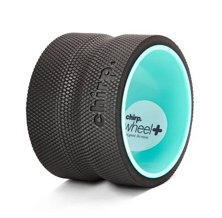 Chirp Wheel+ 4” Focus-01.jpg