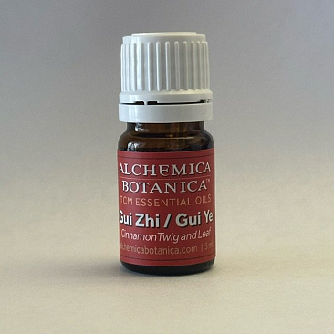 gui-zhi-gui-ye-essential-oil-alchemica-botanica.png