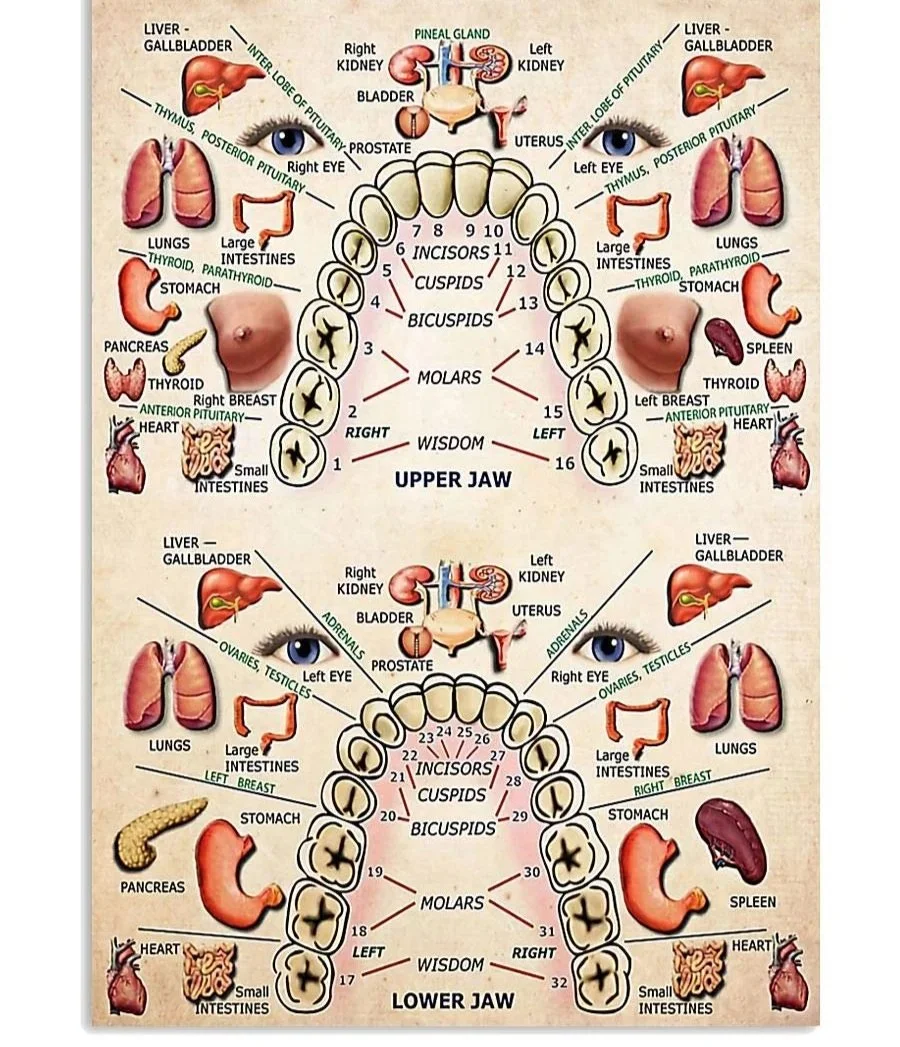 tooth+reflexology.jpg