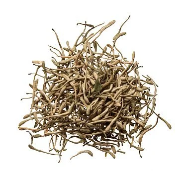 jin yin hao essential oil.jpg