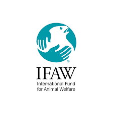 IFAW 2.png