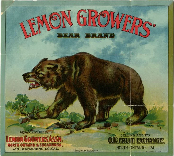 An advertisement for the Lemon Grower’s Association, San Bernardino, CA.