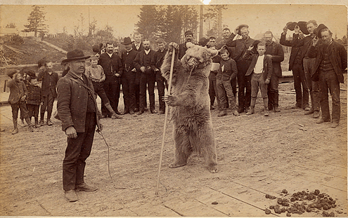 Rutledge & Gillespie, “ Performing Bears in Woodward’s Garden, San Francisco ”