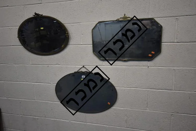 97b13320-a602-4703-9992-1d79121decab העתק.jpg