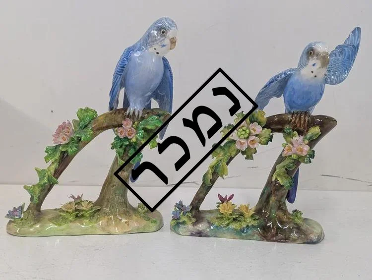 2998035d-7aa7-4483-bfd7-28311955e219 העתק.jpg