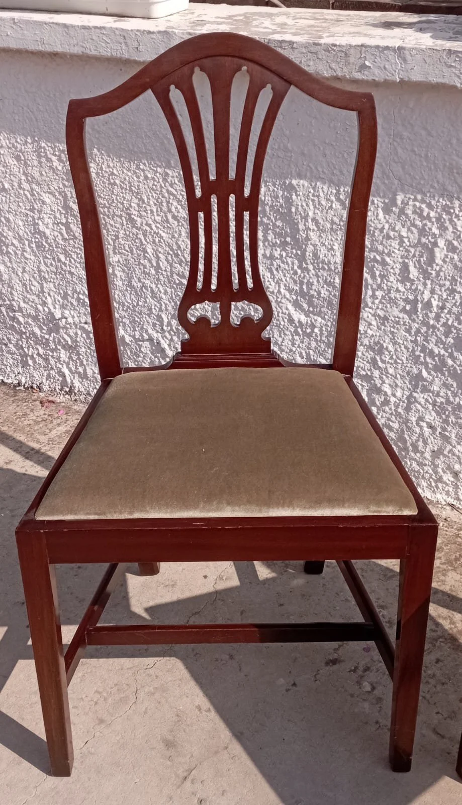 WhatsApp Image 2022-10-20 at 15.08.03.jpeg