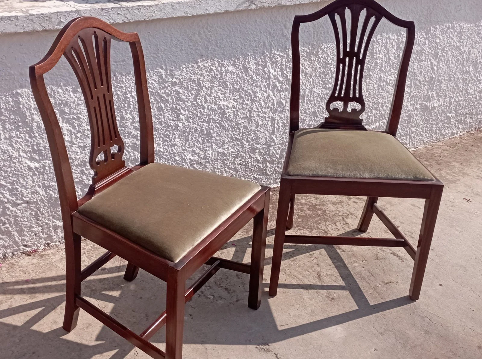 WhatsApp Image 2022-10-20 at 15.08.06.jpeg