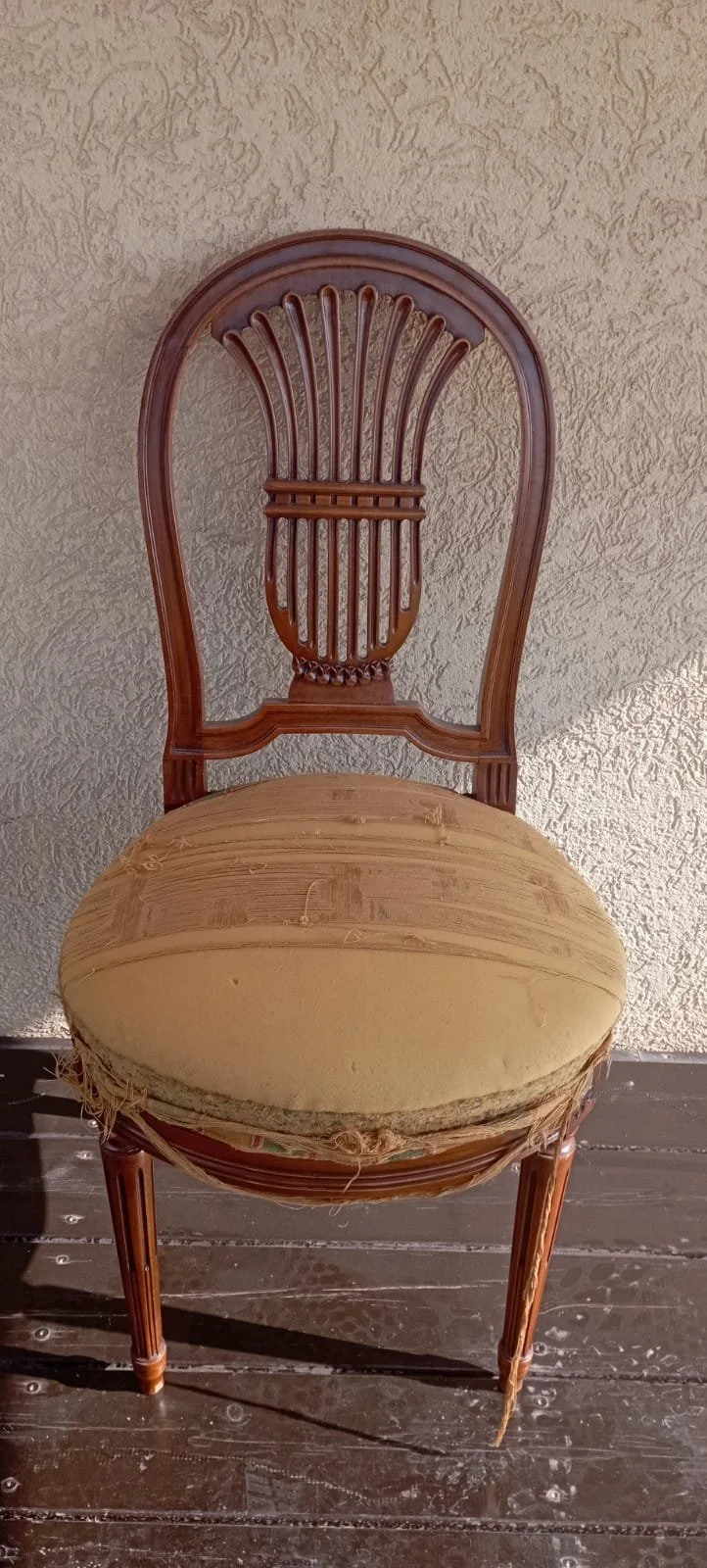 WhatsApp Image 2022-10-20 at 15.06.07.jpeg