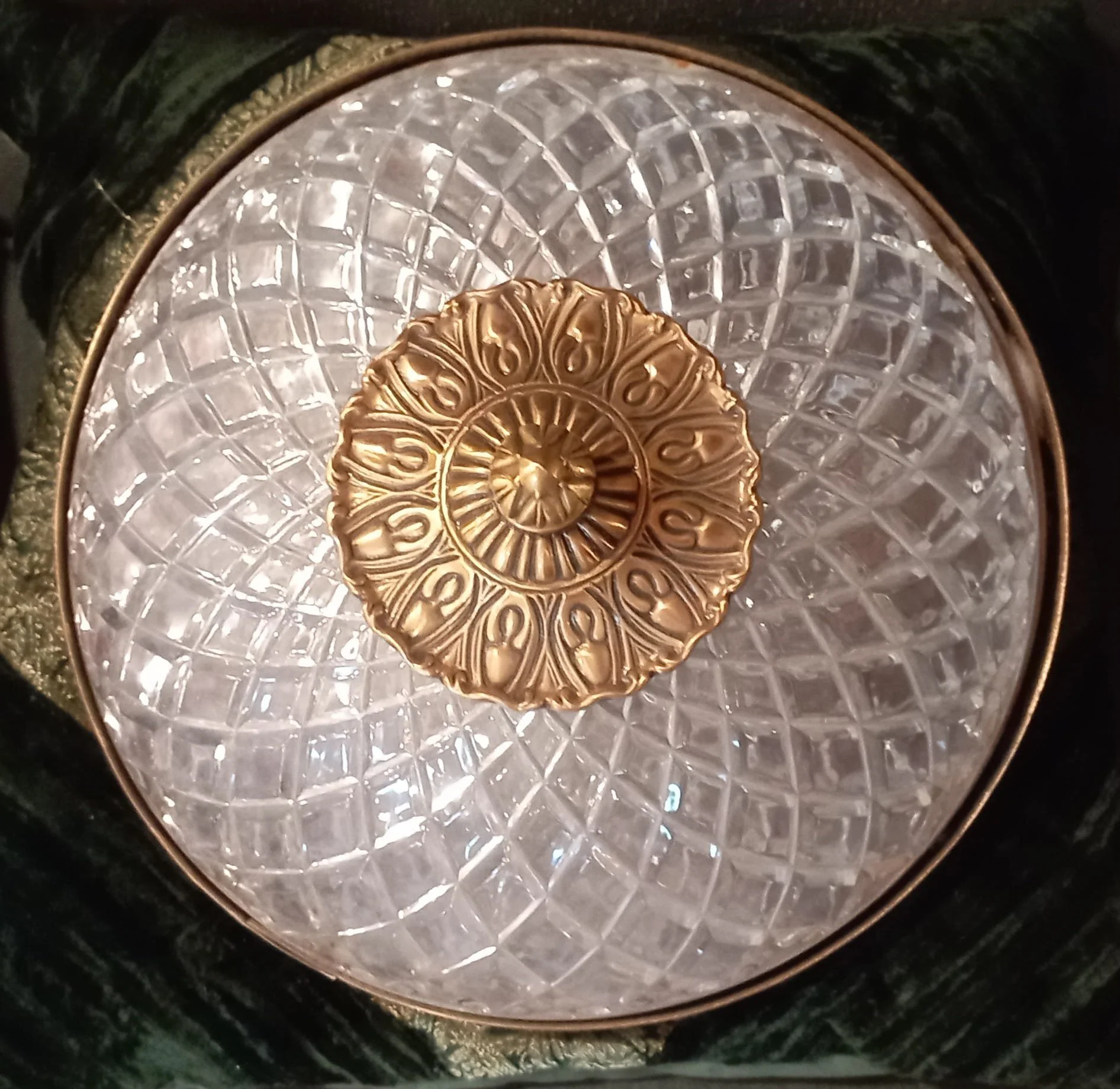 WhatsApp Image 2022-12-01 at 11.03.26.jpeg