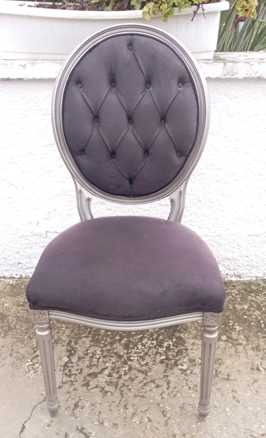 WhatsApp Image 2023-03-15 at 12.55.03 (1).jpeg