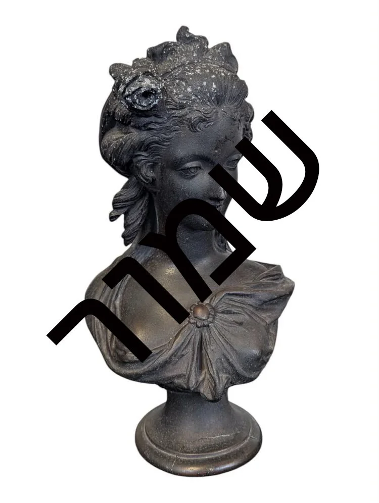 569ee6d5-33a4-45bf-8bbc-8140df1be920 העתק.jpg