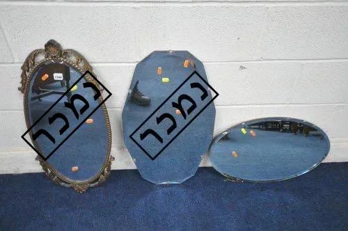 6d58d6d7-ed6b-48a2-b4ea-7ad6bac541ad העתק.jpg