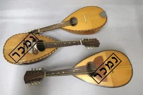 2d084b73-baa0-4c2f-86b2-b3c5a4bdafc7 העתק.jpg