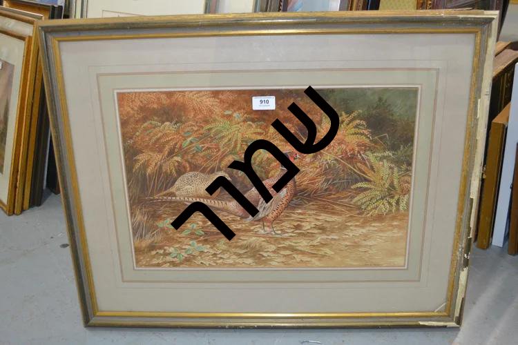 7fb15be2-2959-4386-9734-0ba1fca8604b העתק.jpg