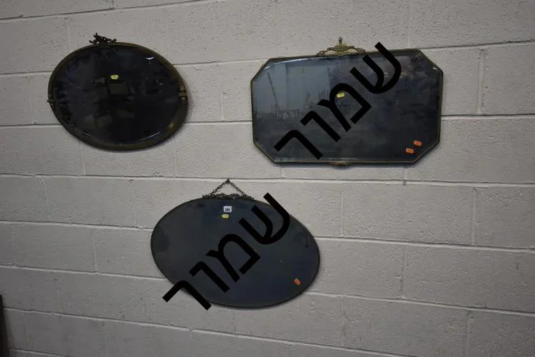 97b13320-a602-4703-9992-1d79121decab העתק.jpg