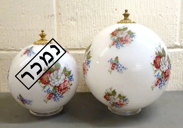 5036e049-ef2d-456a-a630-68d768897a3e העתק.jpg