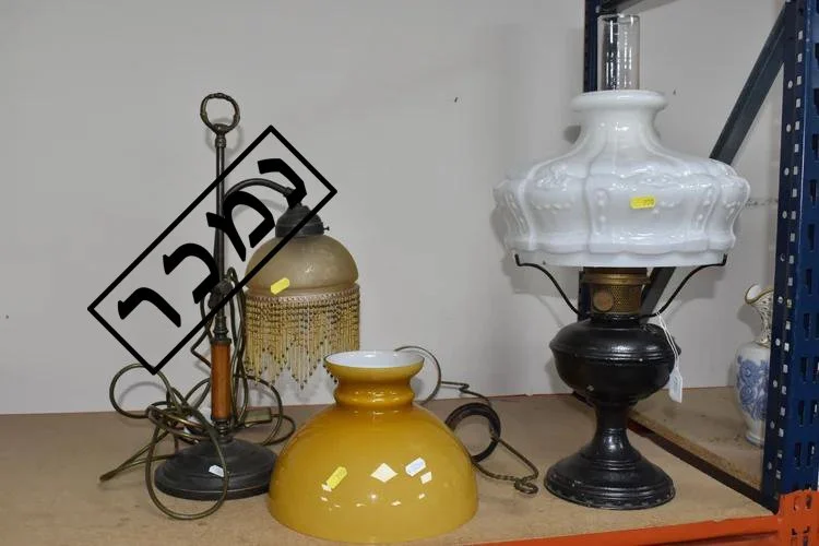 49cfa855-e159-4f6e-a4ad-168ffd07b15b העתק.jpg