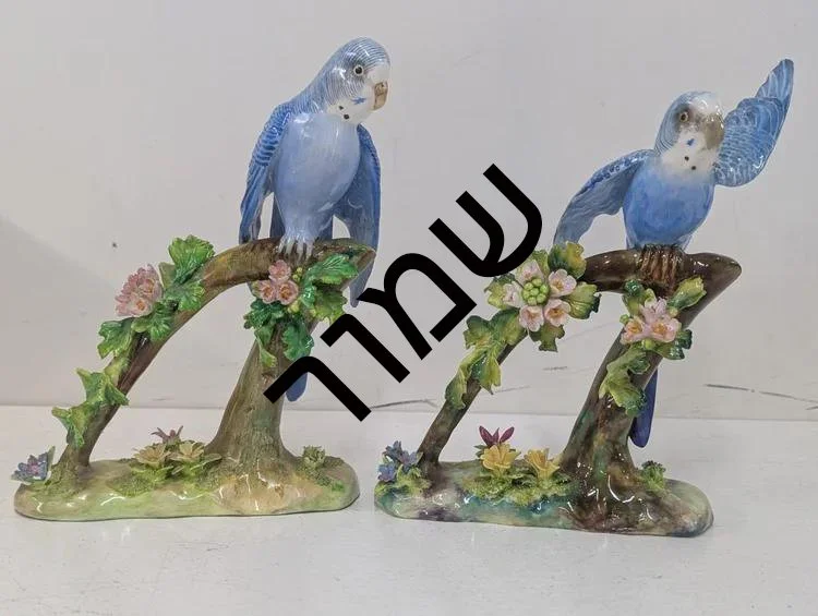 2998035d-7aa7-4483-bfd7-28311955e219 העתק.jpg