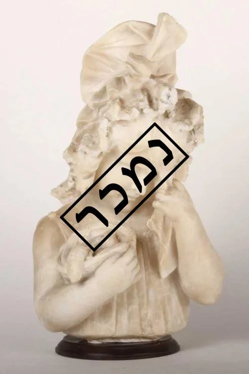 908ab444-545c-4964-8762-8566576e363e העתק.jpg